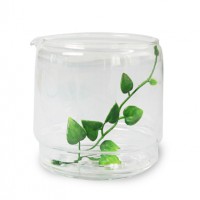 Glass Storage Jars