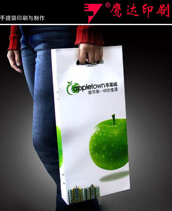 Brand Bag Printing (1-11)