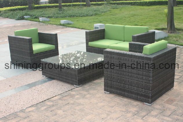 Custom Outdoor Furniture/Rattan Furniture/Living Room Furniture/Sofa (C192-D)